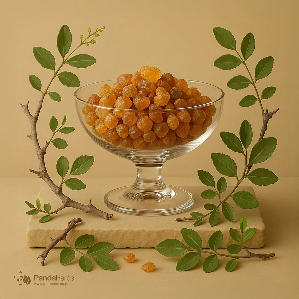 Balsamowiec mirra, żywica - MO YAO - Myrrha