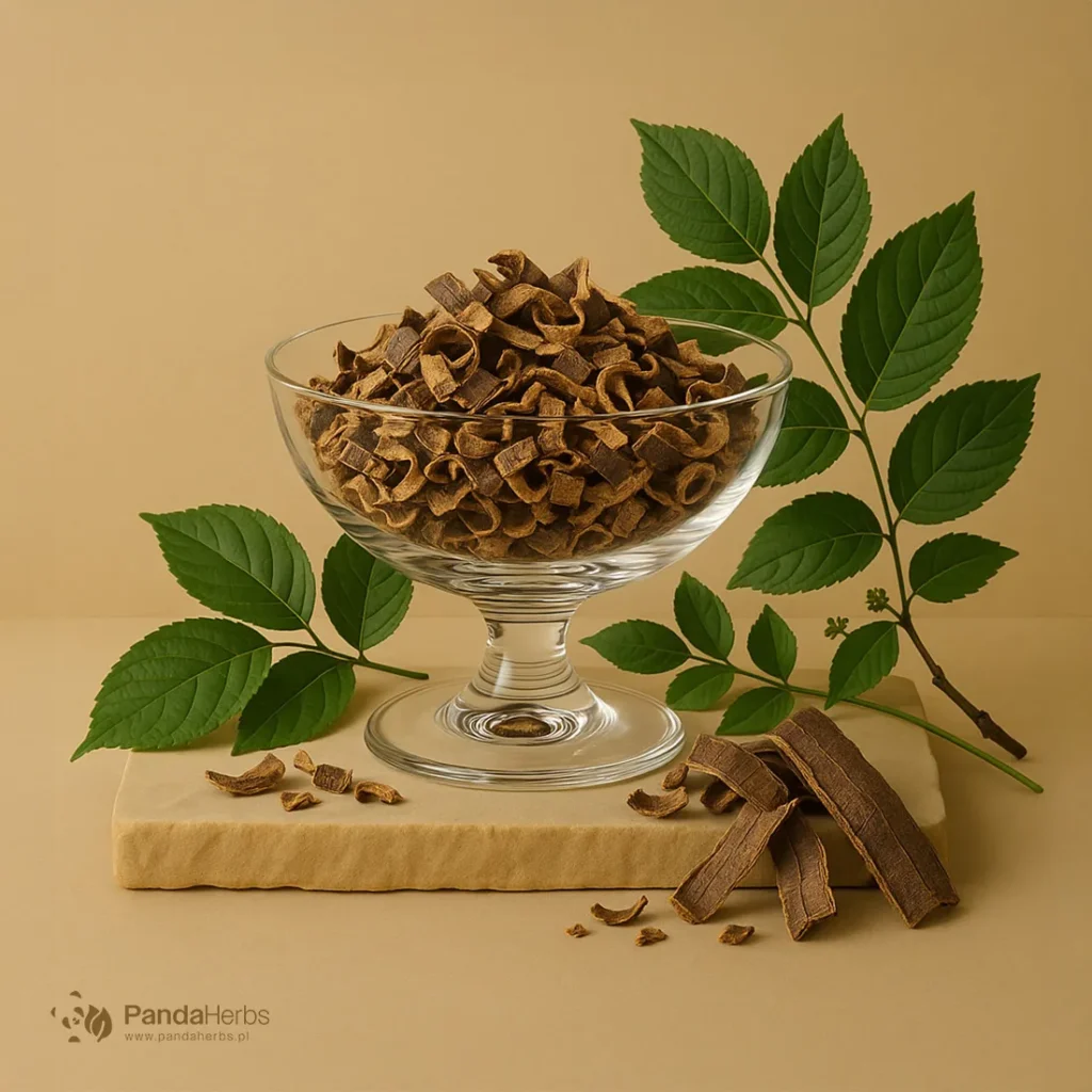 Eukomia wiązowata, kora - DU ZHONG - Cortex Eucommiae