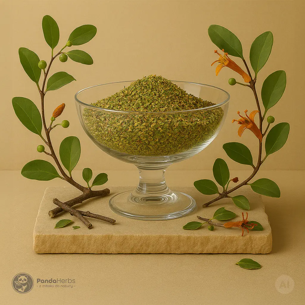 Gęzownik chiński, ziele - SANG JI SHENG - Herba Taxilli / Ramulus Loranthi