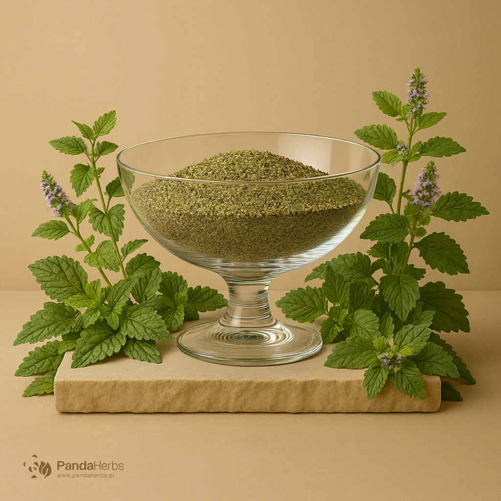 Melisa lekarska, liść - Folium Melissae