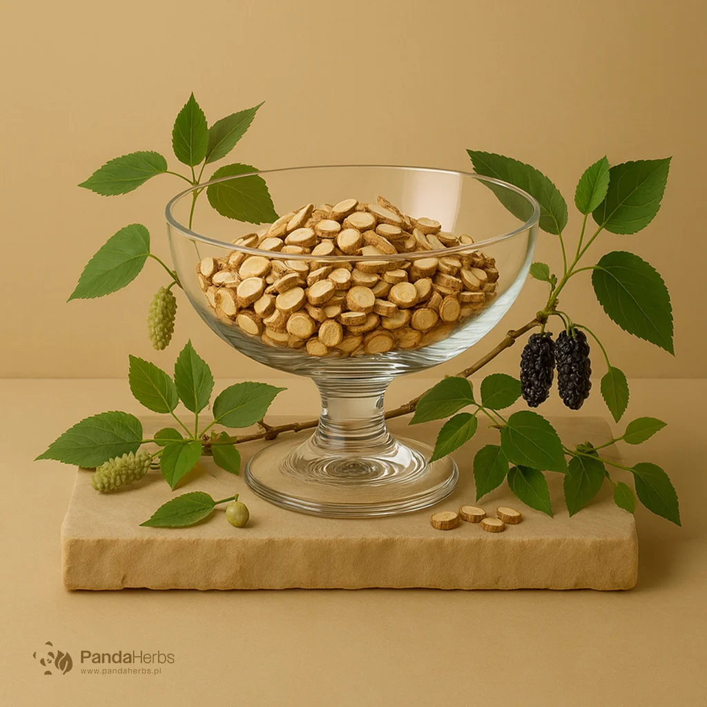 Morwa biała, gałązka - SANG ZHI - Ramulus Mori