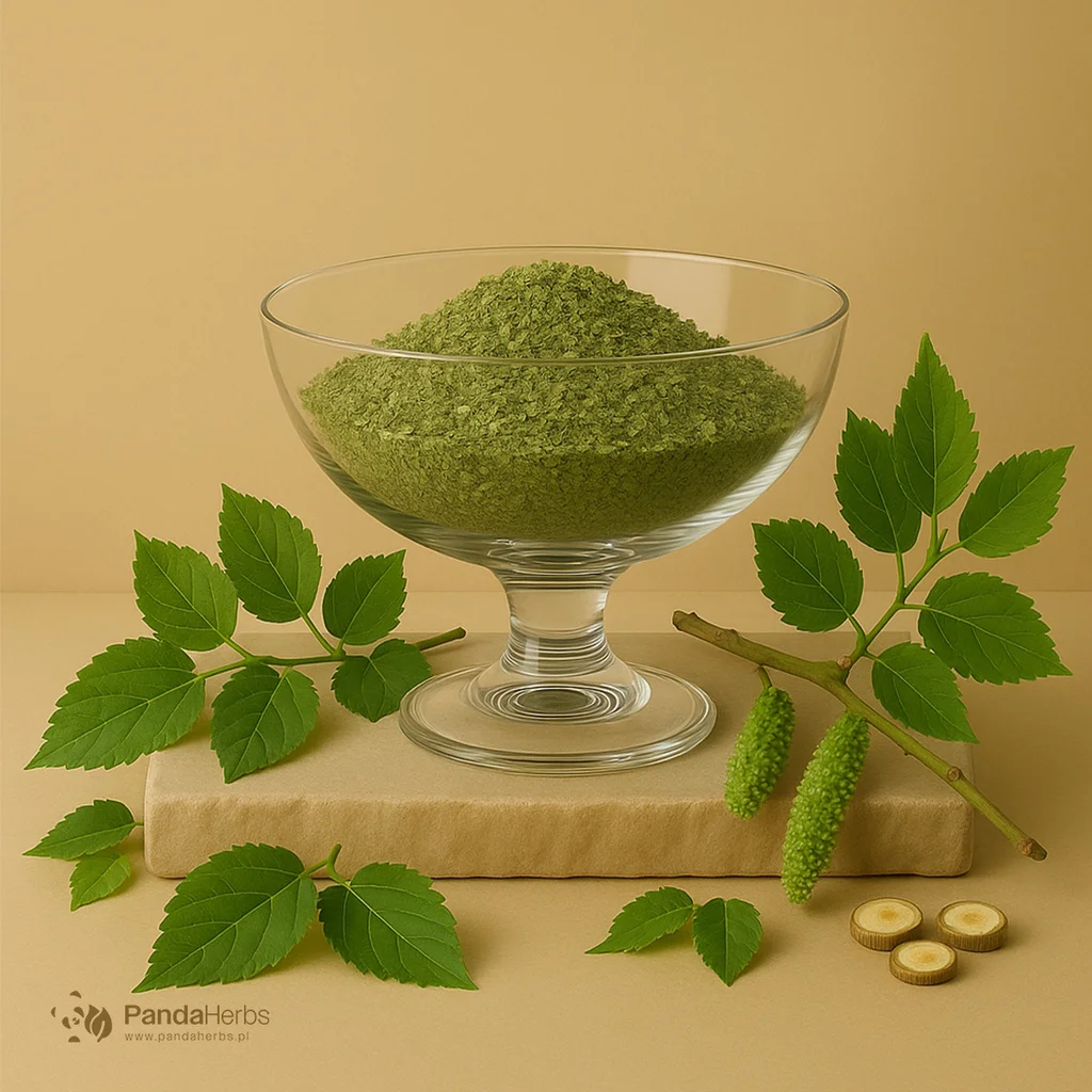 Morwa biała, liść - SANG YE - Folium Mori