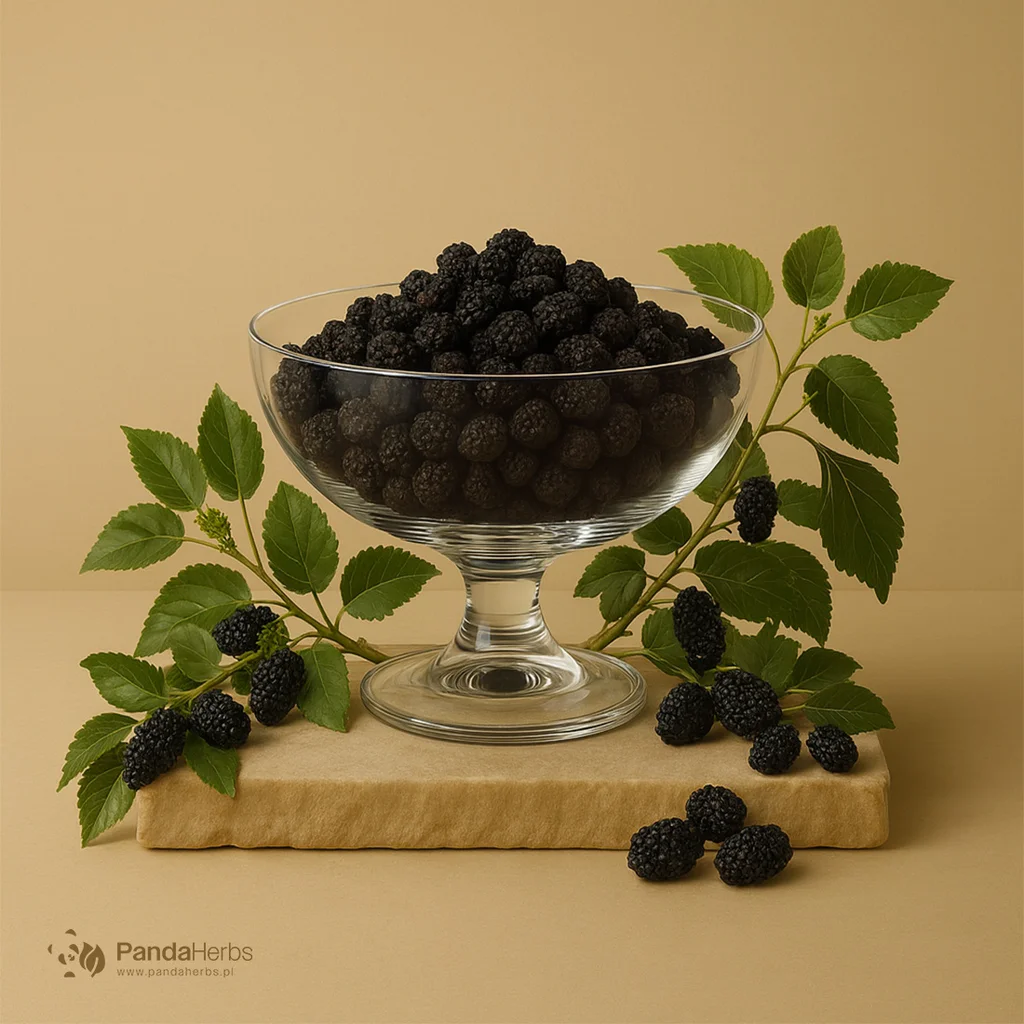 Morwa biała, owoc - SANG SHEN - Fructus Mori