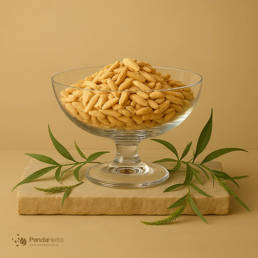 Ofiopogon japoński, korzeń - MAI MEN DONG - Radix Ophiopogonis