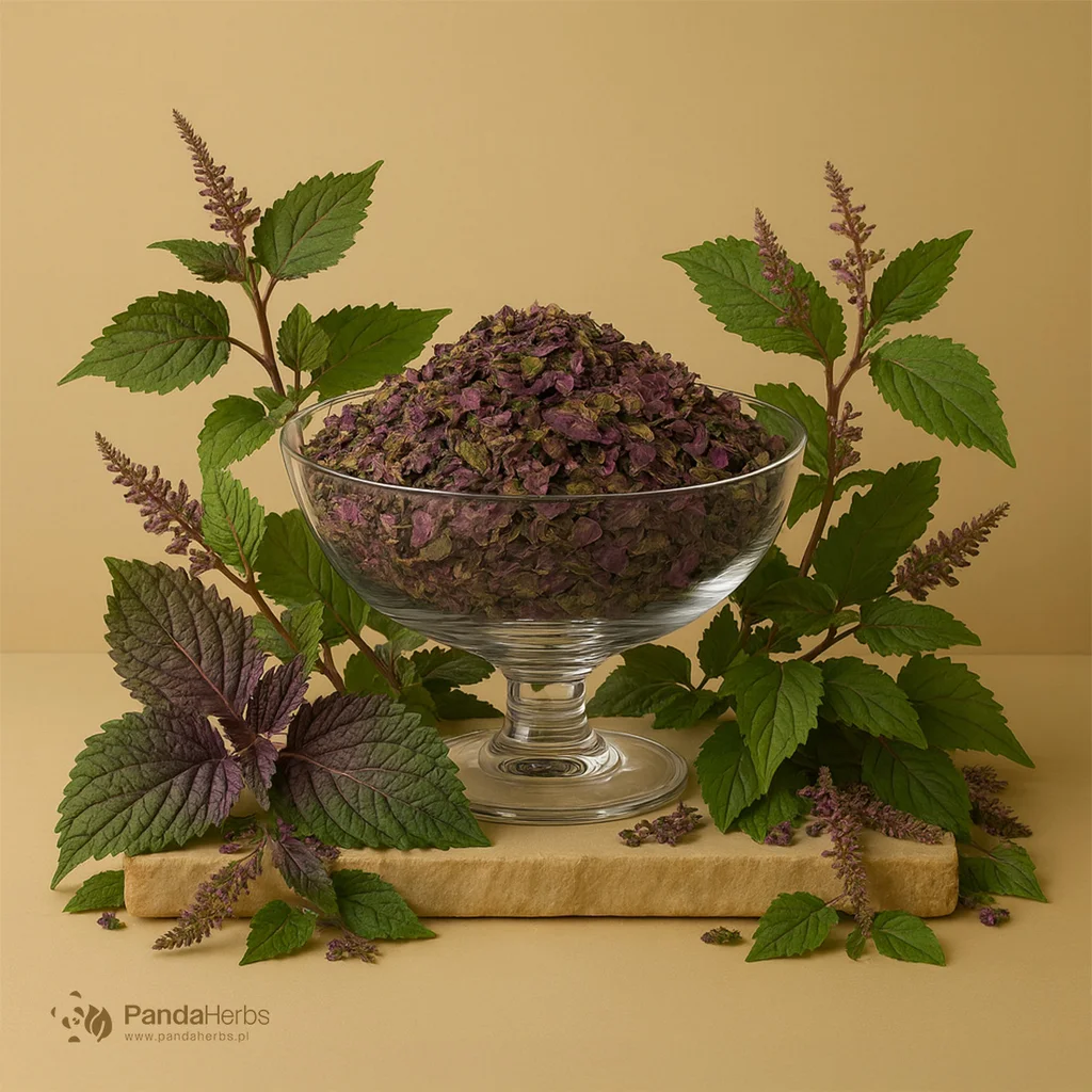 Pachnotka bazyliowata, liść (ziele) - ZI SU YE - Folium Perillae