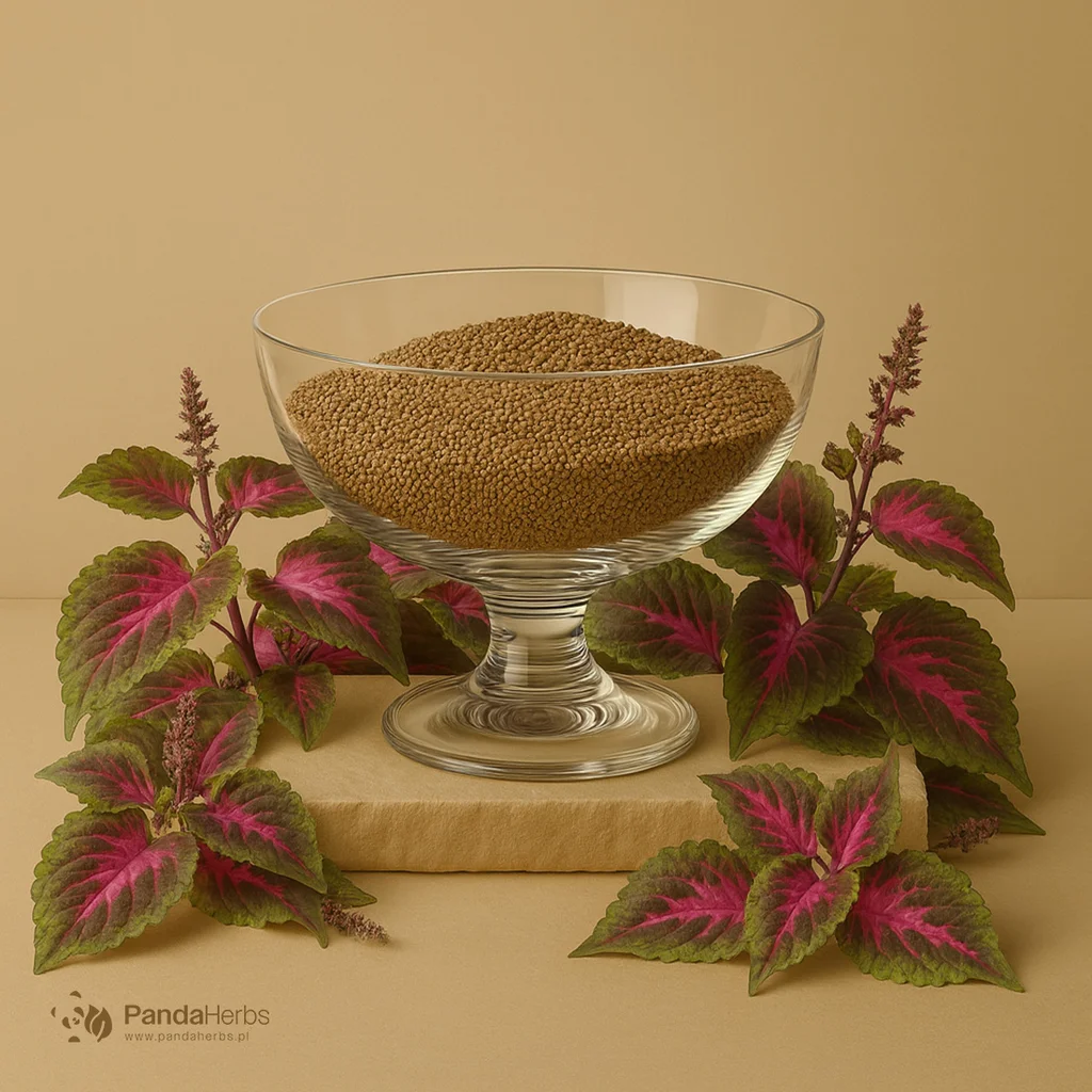 Pachnotka bazyliowata, owoc - ZI SU ZI - Fructus Perillae