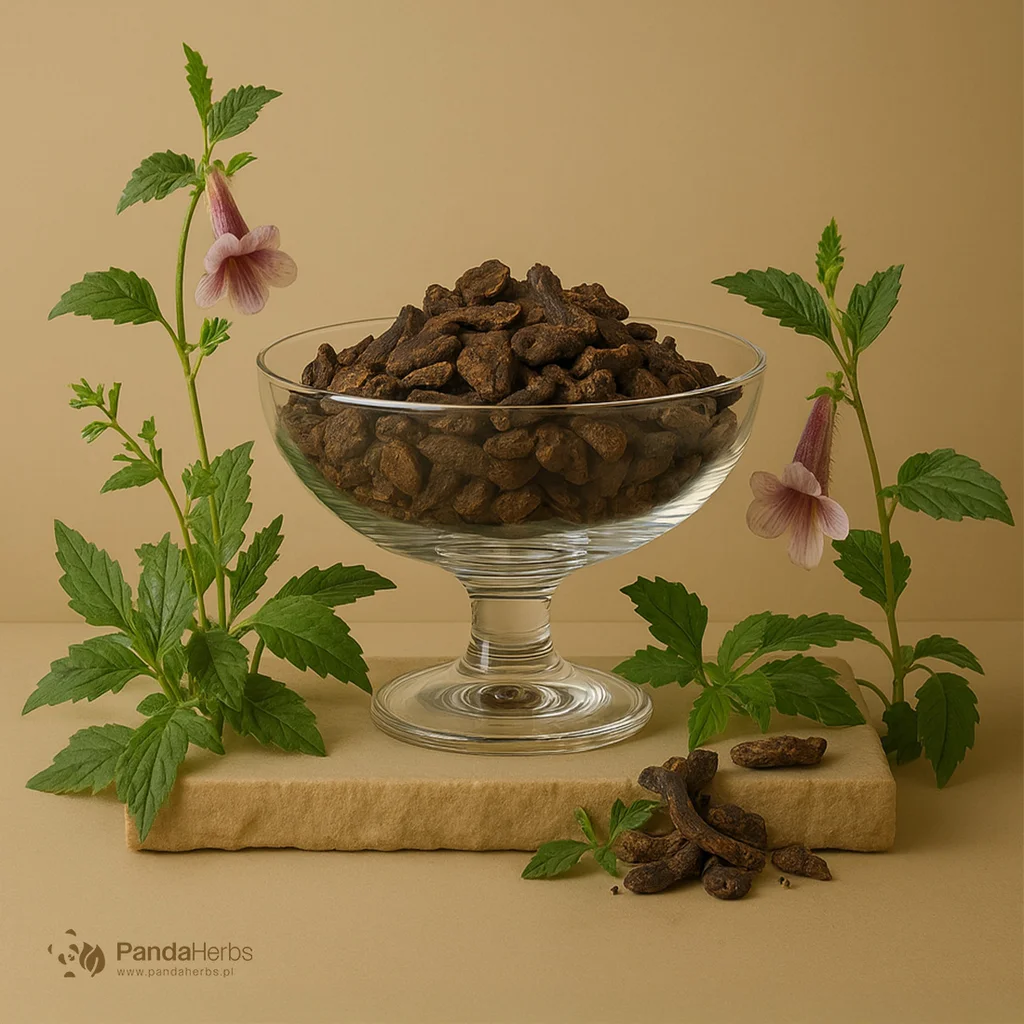 Rehmania kleista, korzeń - SHENG DI HUANG - Radix Rehmanniae