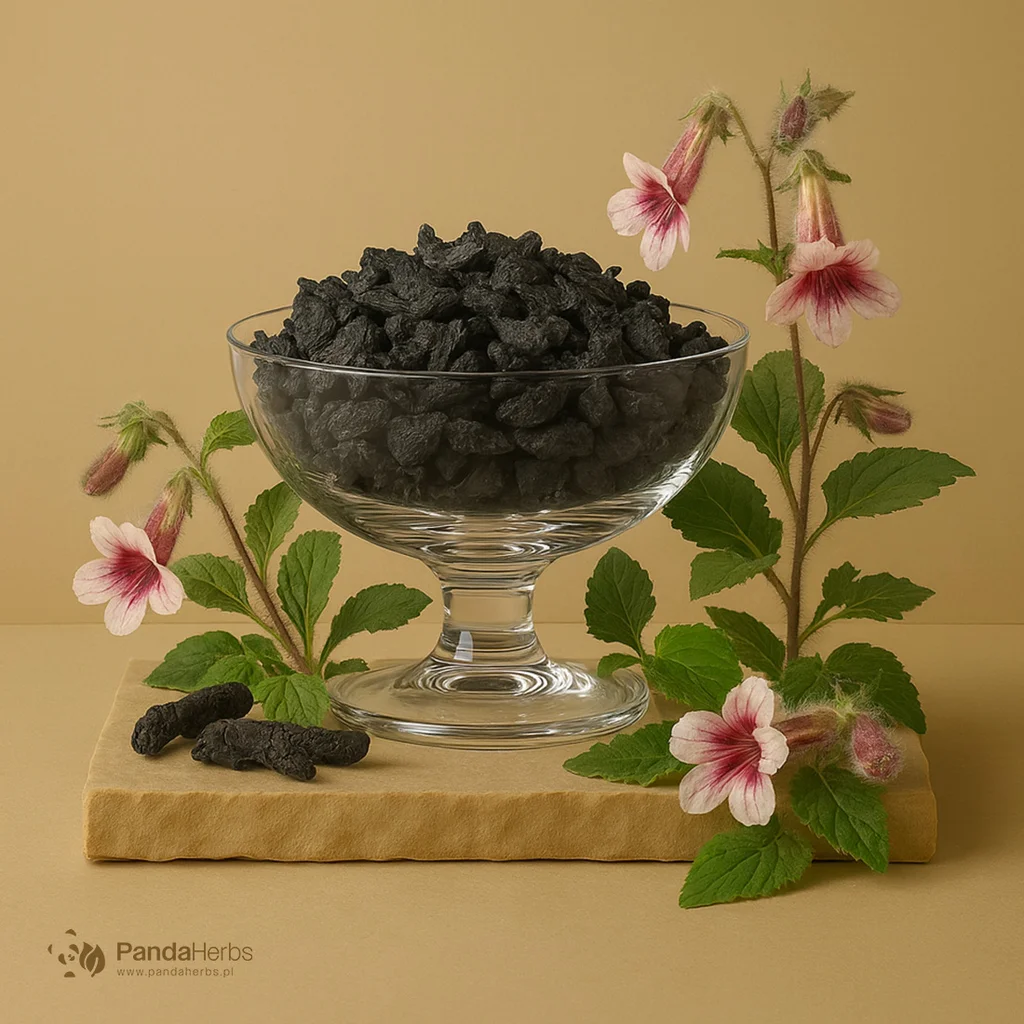 Rehmania kleista, korzeń preparowany - SHU DI HUANG - Radix Rehmanniae Preparata