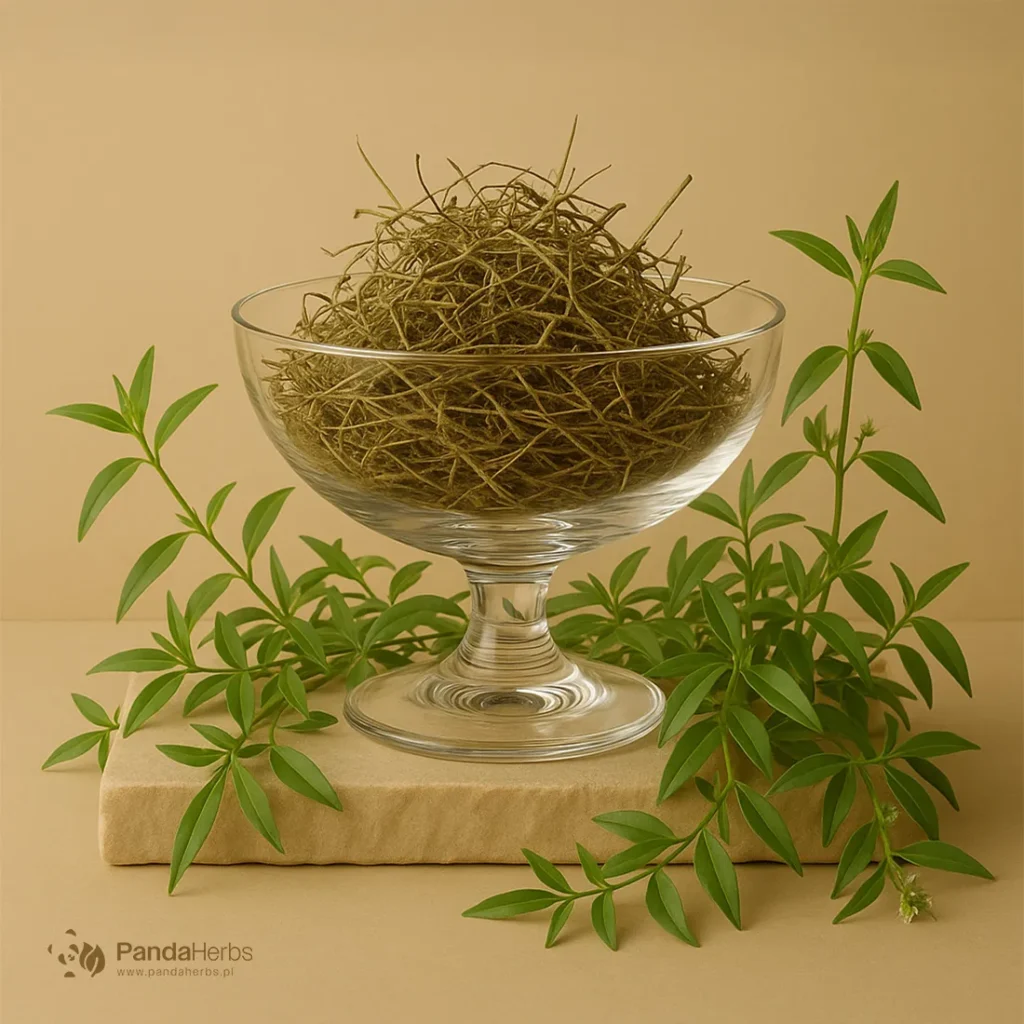 Rostlink rozłożysty, ziele - BAI HUA SHE SHE CAO - Herba Hedyotidis Diffusae