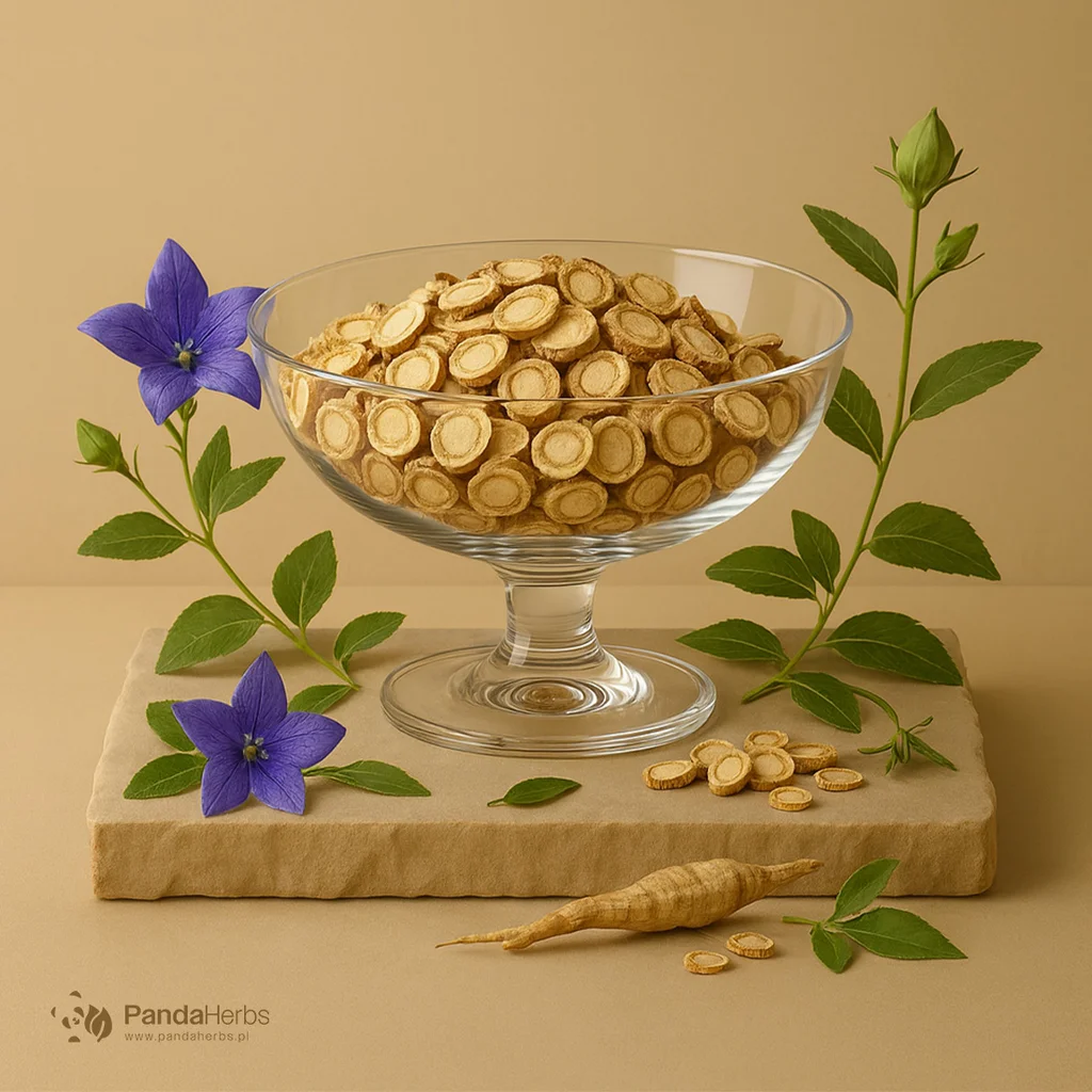 Rozwar wielokwiatowy, korzeń - JIE GENG - Radix Platycodi