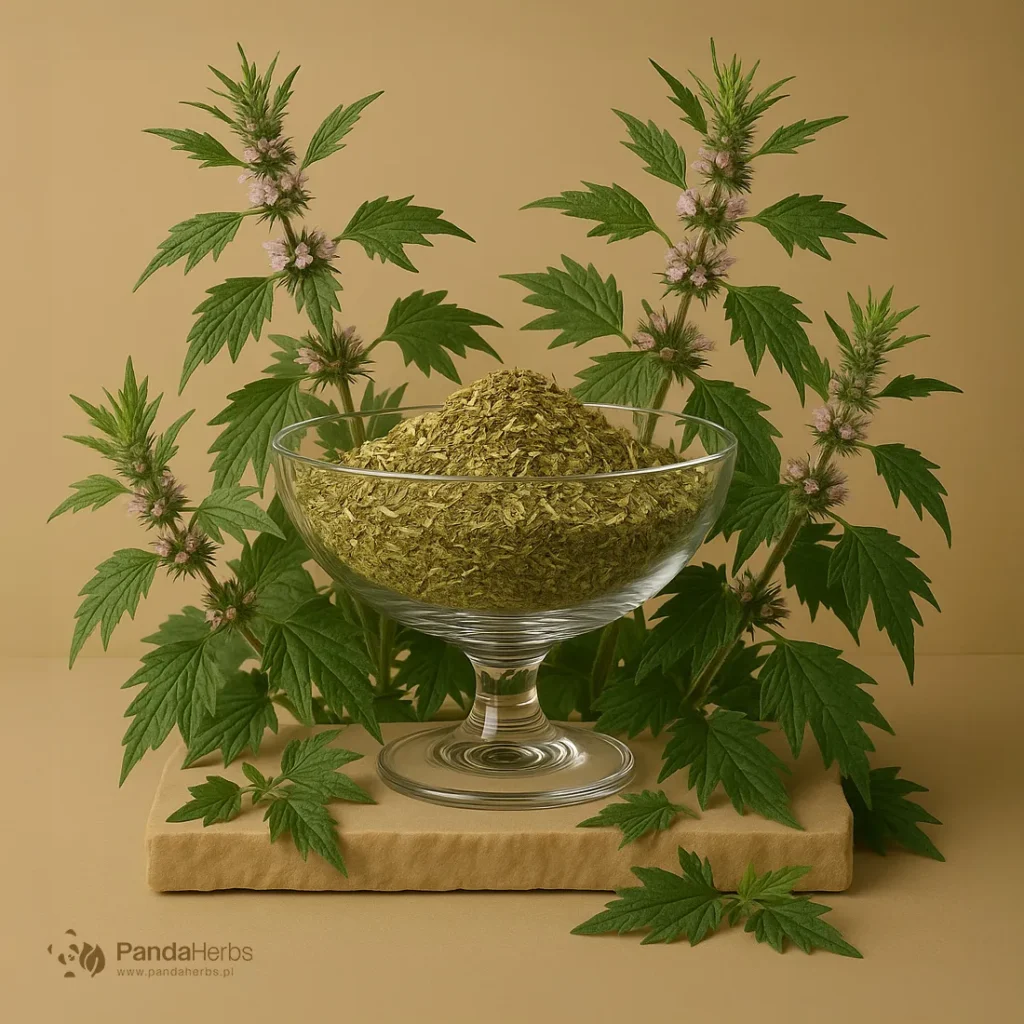 Serdecznik pospolity, ziele - Herba Leonuri Cardiacae