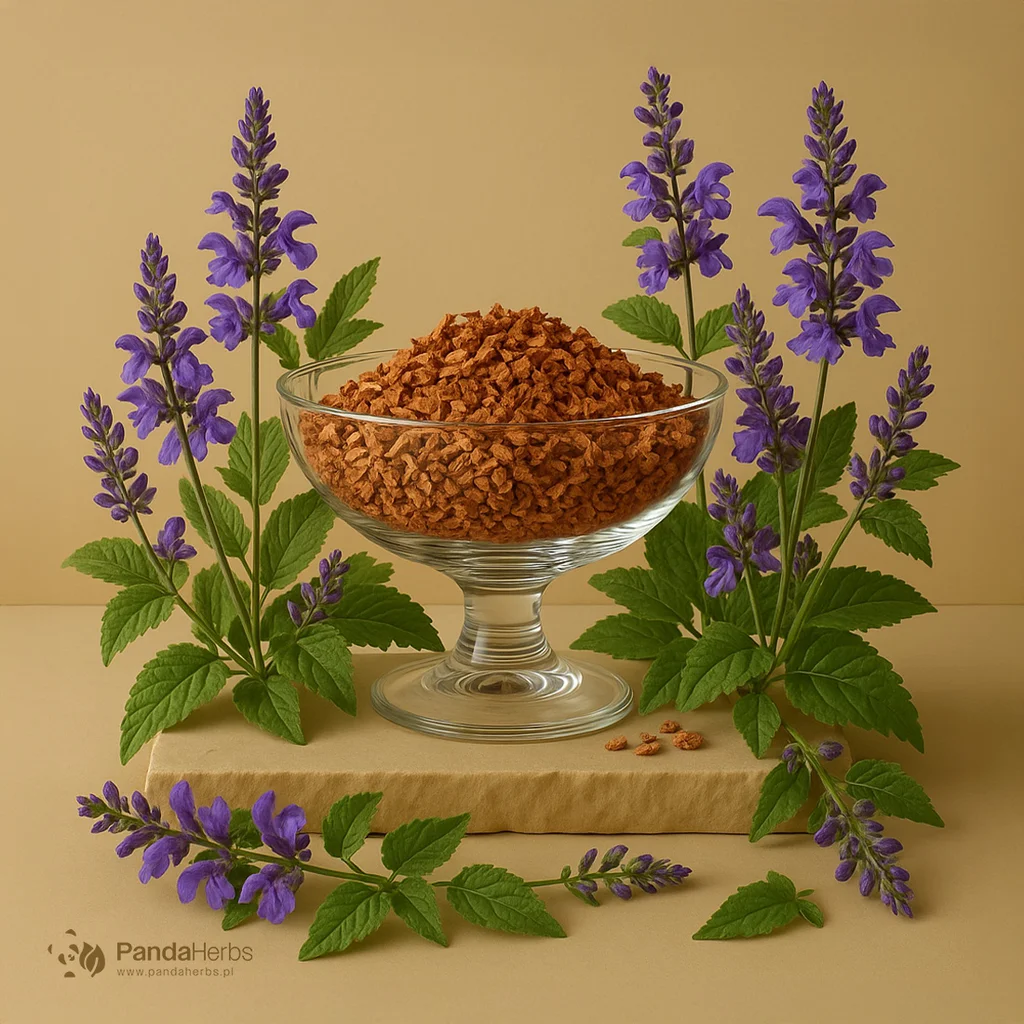 Szałwia czerwona, korzeń - DAN SHEN - Radix Salviae Milthiorrhizae