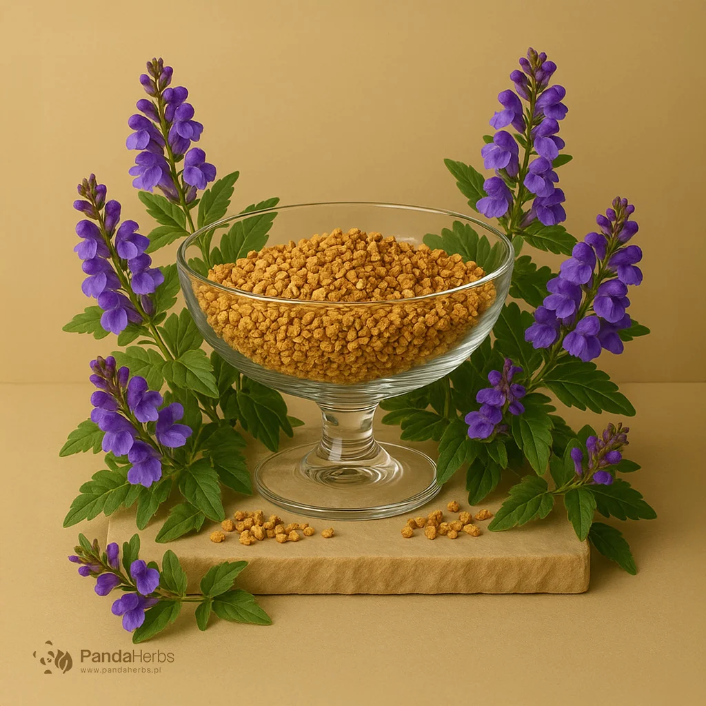 Tarczyca bajkalska, korzeń - HUANG QIN - Radix Scutellariae