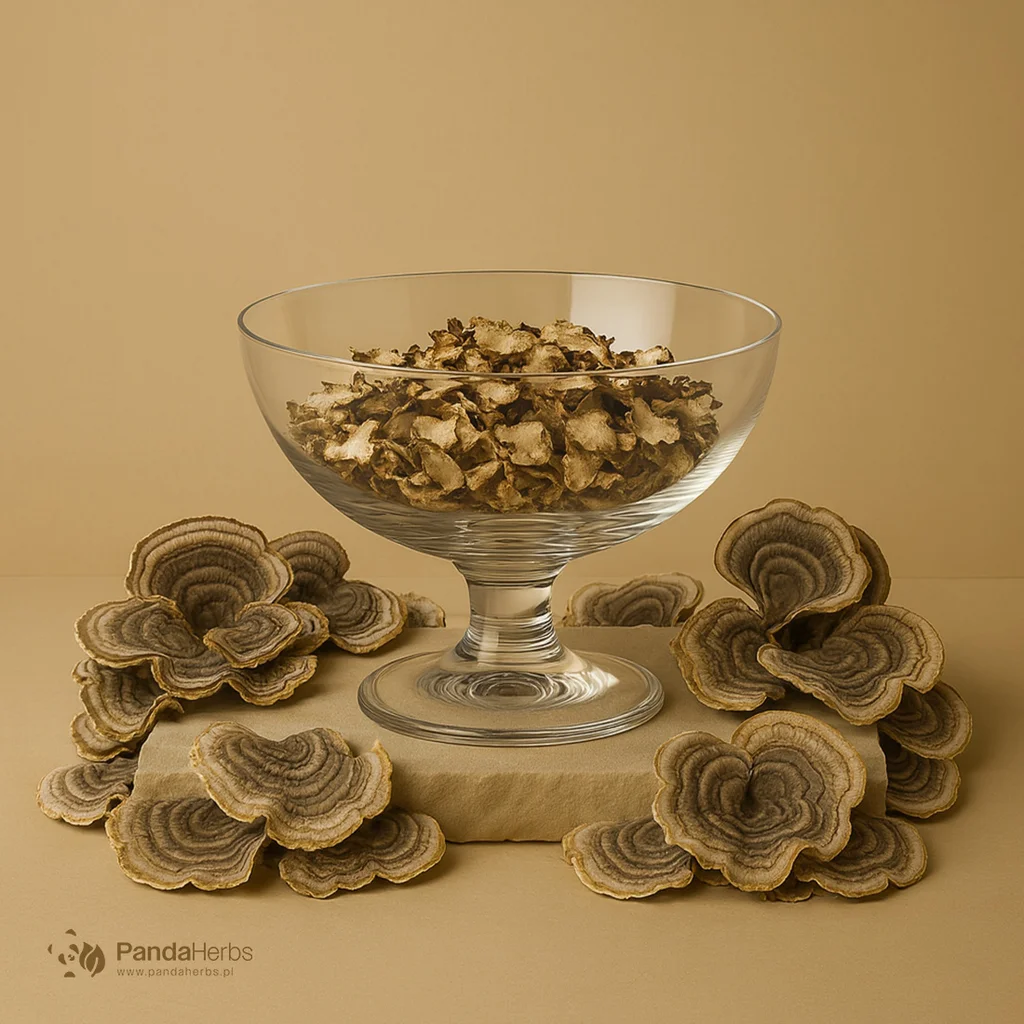 Wrośniak parasolkowaty, grzyb - ZHU LING -  Polyporus Umbellatus