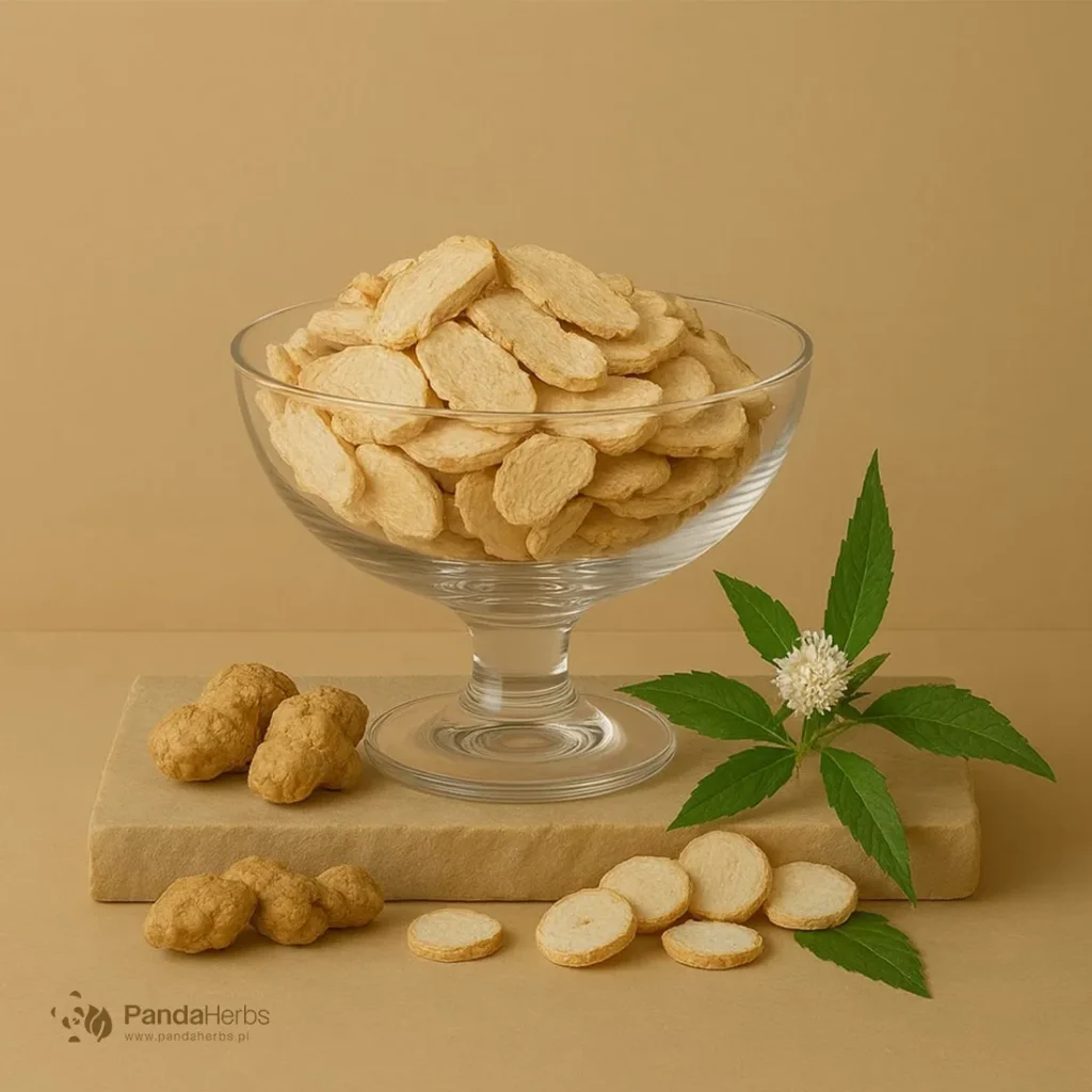 Atraktylod czarny, kłącze - CANG ZHU - Rhizoma Atractylodis Lanceae