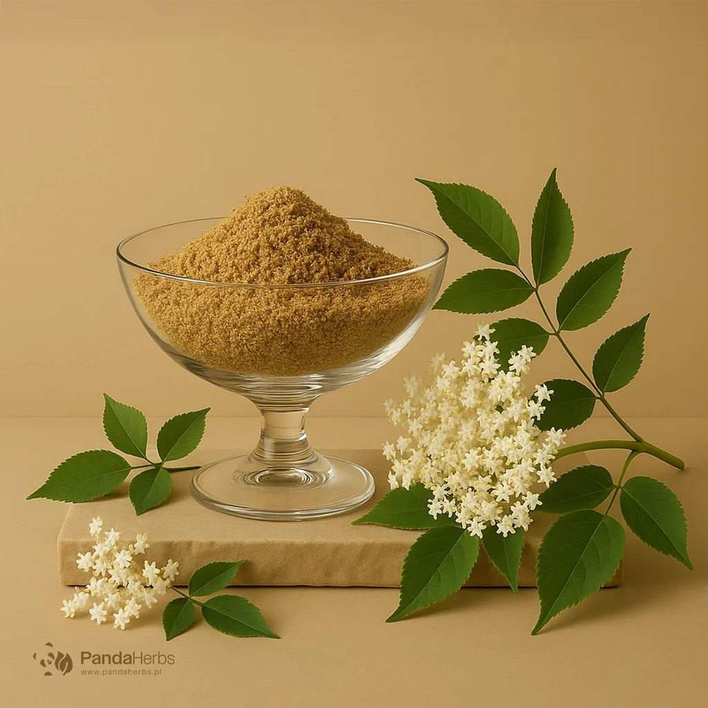 Czarny bez, kwiat - Flos Sambuci