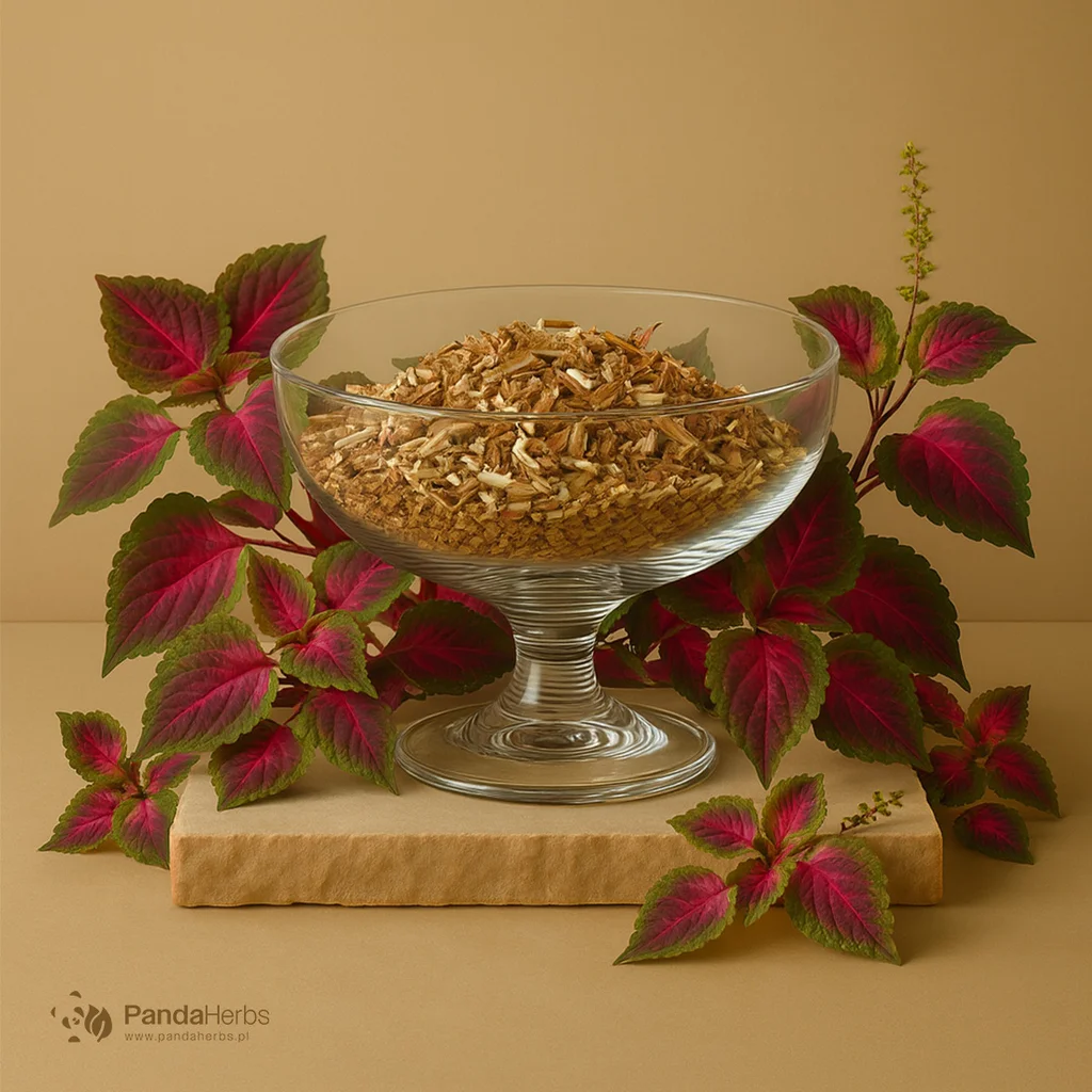 Pachnotka bazyliowata, łodyga - ZI SU GENG - Caulis Perillae