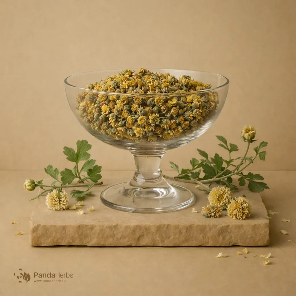 Chryzantema indyjska, kwiat - YE JU HUA - Flos Chrysanthemi indici