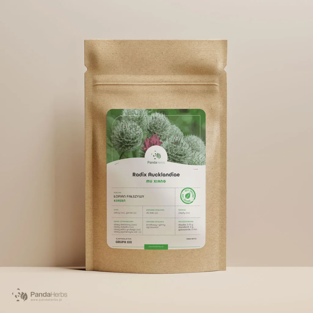 Łopian fałszywy, Aucklandia lappa, Mu Xiang - suszony korzeń, zioło z Tradycyjnej Medycyny Chińskiej