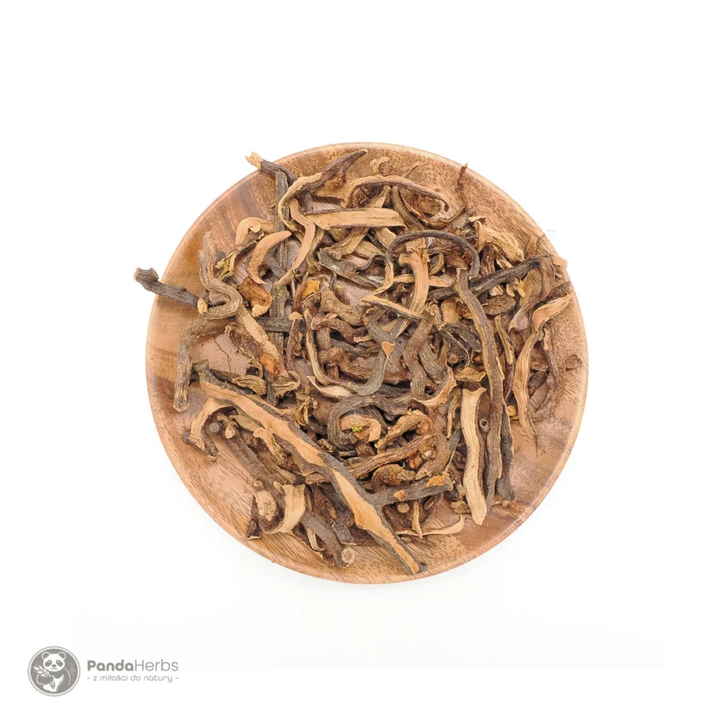 Drynaria okazała, kłącze – GU SUI BU – Rhizoma Drynariae