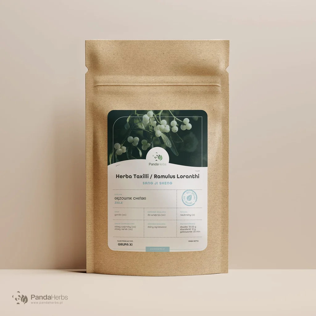 Gęzownik chiński, ziele - SANG JI SHENG - Herba Taxilli / Ramulus Loranthi