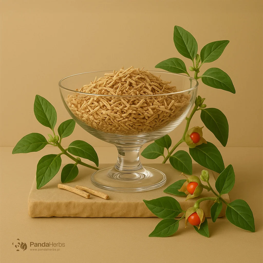 Witania ospała, korzeń - Ashwagandha - Radix Withaniae Somniferae