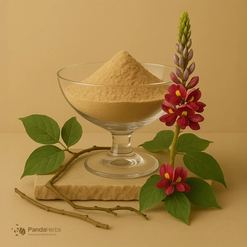 Kudzu, ekstrakt 50% - GE GEN - Pueraria montana