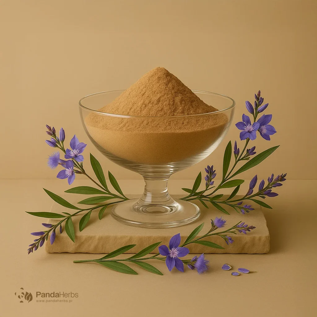 Krzyżownica cienkolistna, ekstrakt 100:1 - YUAN ZHI - Polygala tenuifolia