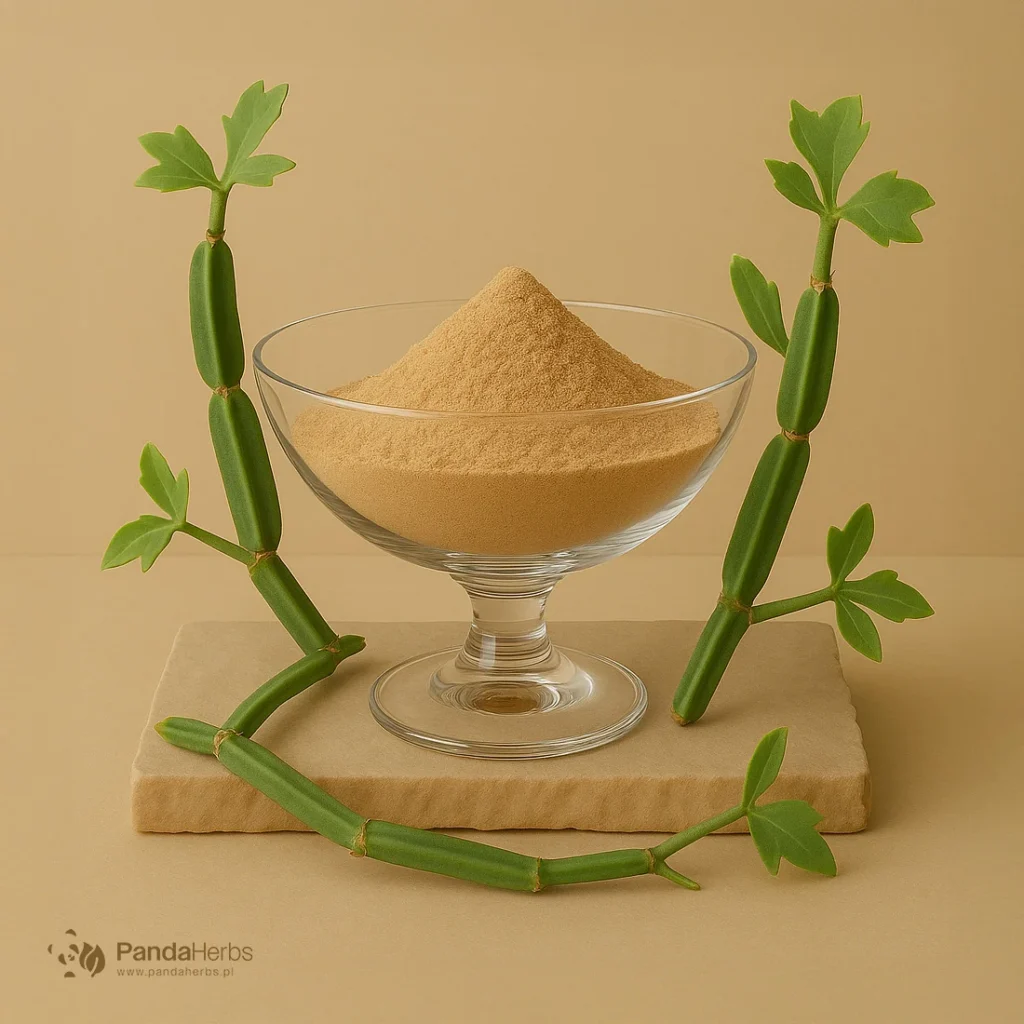 Cissus, ekstrakt 20:1 - Cissus quadrangularis