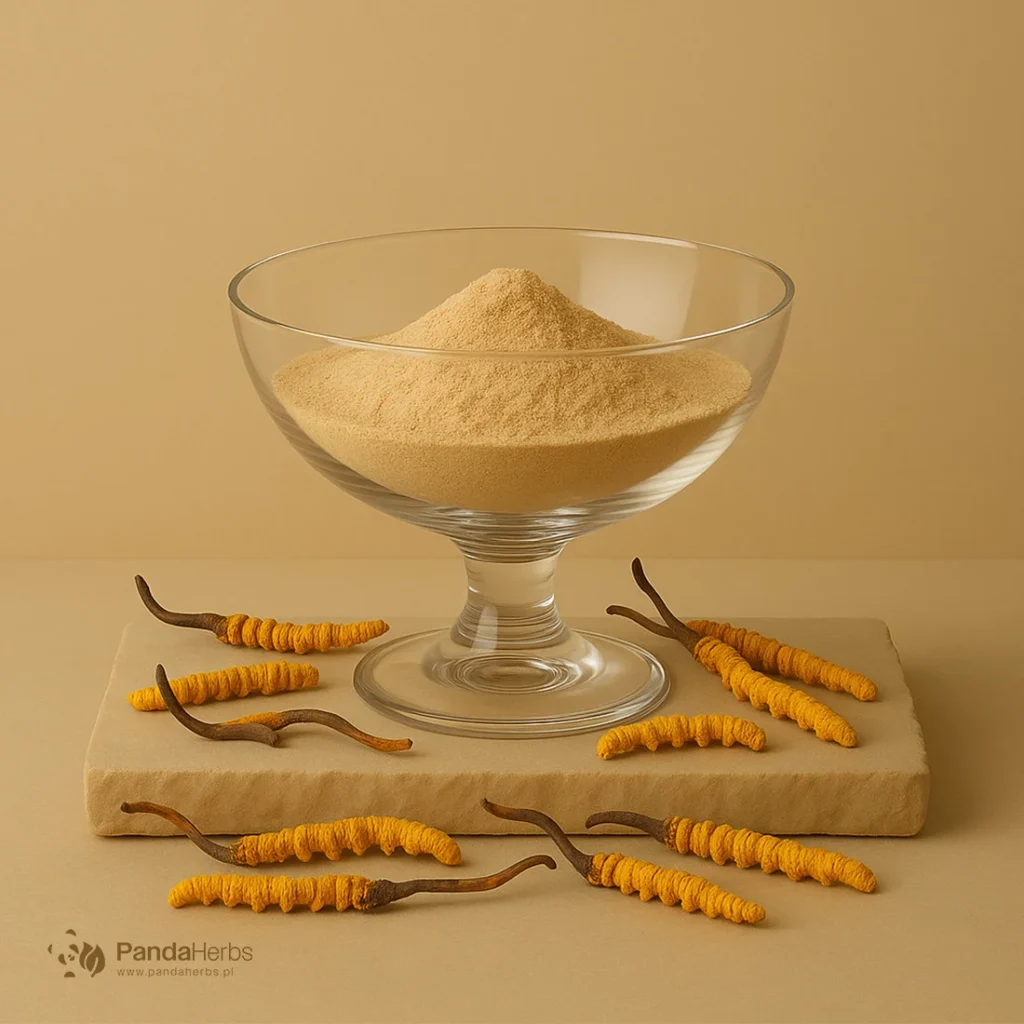 Kordyceps chiński, ekstrakt 20:1 - DONG CHONG XIA CAO - Cordyceps sinensis