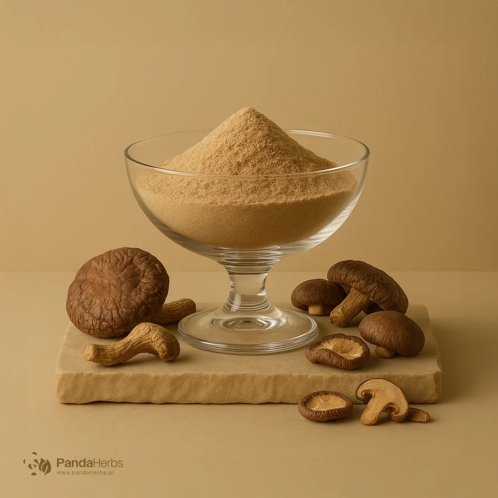 Shiitake, ekstrakt 20:1 - XIANG GU - Lentinula edodes