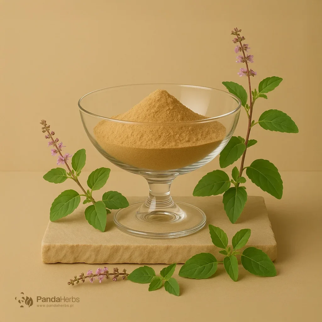 Bazylia azjatycka, ekstrakt 20:1 - TULSI - Ocimum sanctum