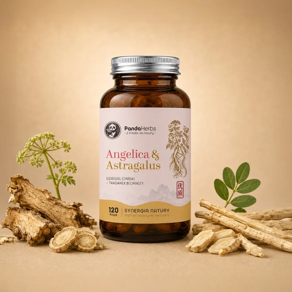 Dzięgiel i Traganek - DANG GUI HUANG QI - Angelica & Astragalus