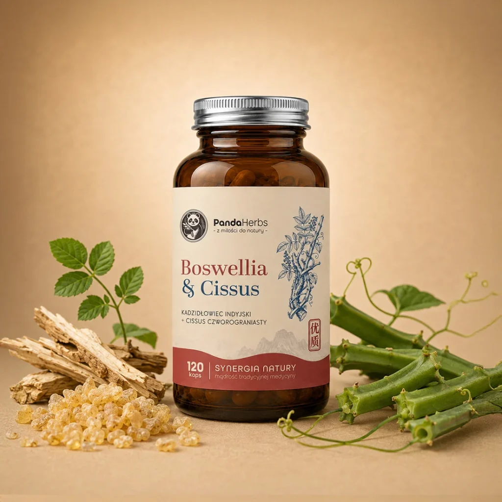 Kadzidłowiec i Cissus - SHALLAKI ASTHISAMHARA - Boswellia & Cissus